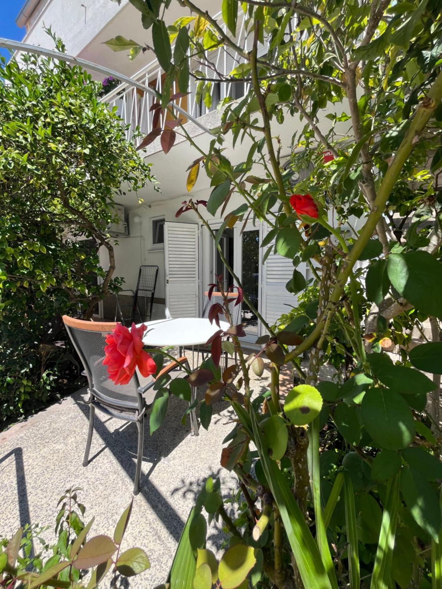 Green Oasis For Two, 30 Meters From Sea Apartman Zára Kültér fotó